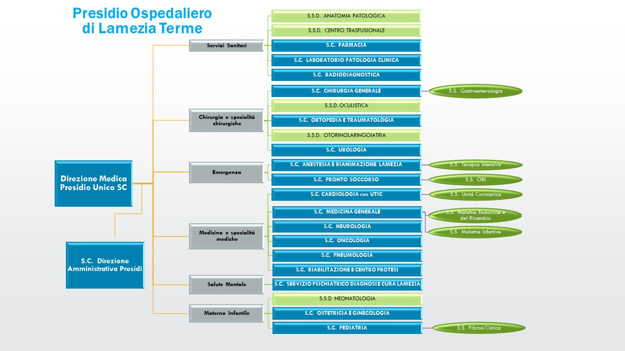 organigramma