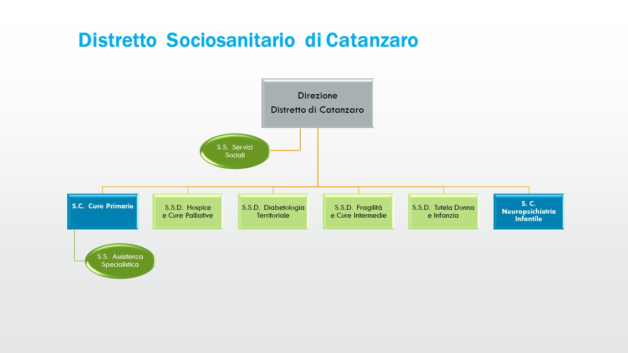 organigramma